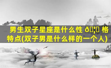 男生双子星座是什么性 🦁 格特点(双子男是什么样的一个人)